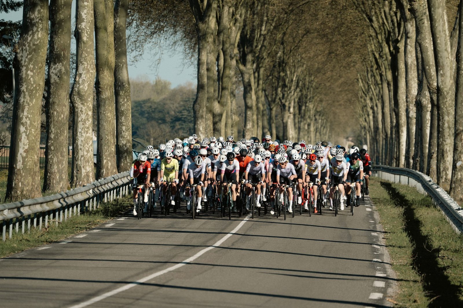 Peloton cycliste sur une route de campagne