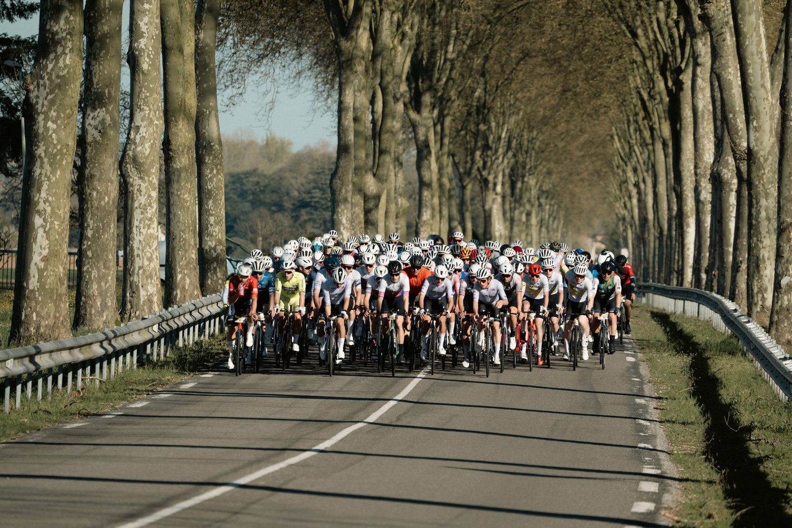 Peloton cycliste sur une route bordée d'arbres, photo Prism Motion