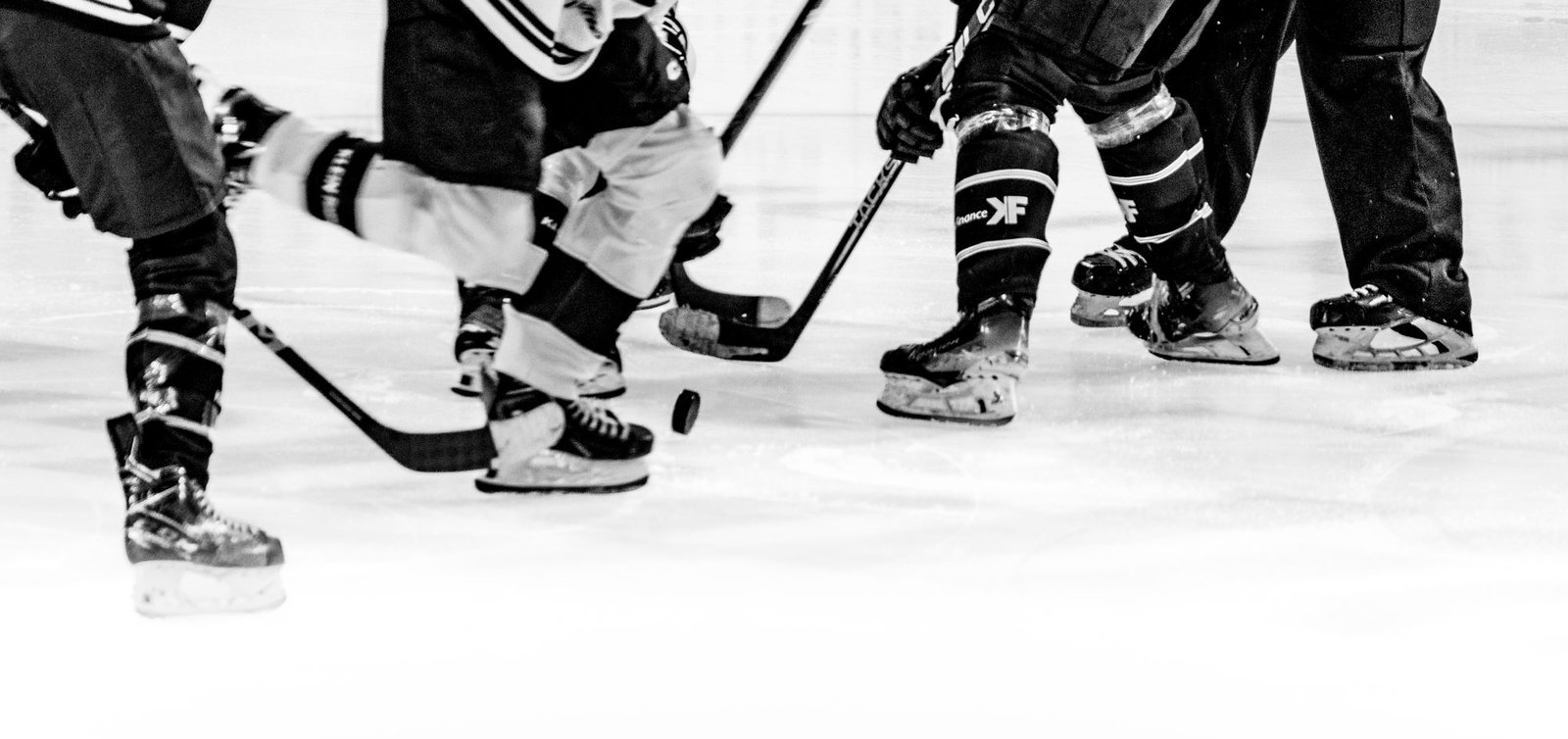 Les Ours de Villard-de-Lans, série photo Prism Motion